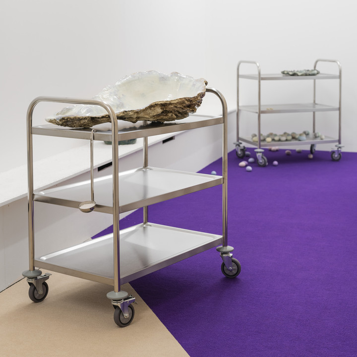 Lucila Pacheco Dehne, To All My Roaring Bodies, The Seeds And The Mountains, 2022, Installationsansicht / Installation view, Courtesy the Artist, © Foto / Photo: Volker Crone
