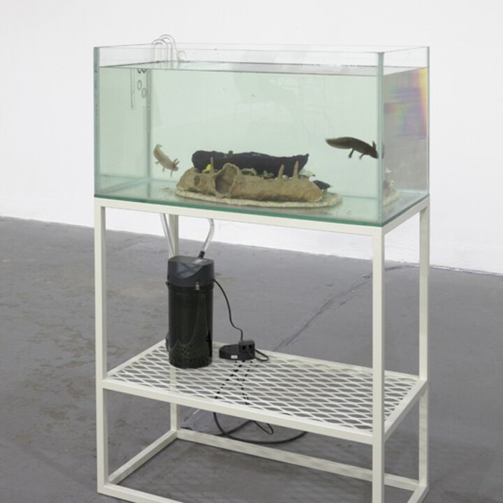 Aaron Angell, Boat Burial (2013)