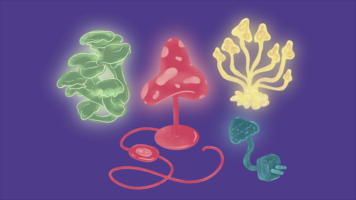 Illustration Glühpilze
