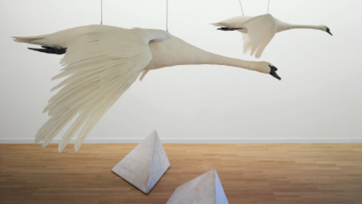 Christiane Möbus, mein lieber Schwan, 1986, Sprengel Museum Hannover, Leihgabe Stiftung Niedersachsen, Hannover