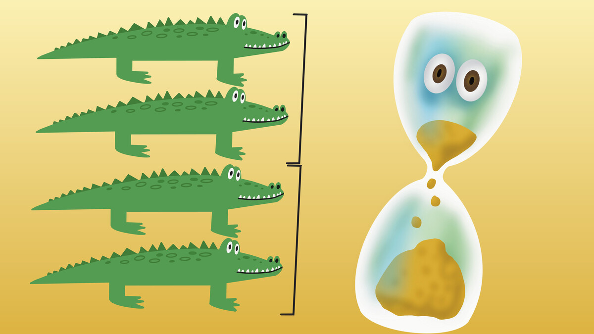 Krokodile Sanduhr