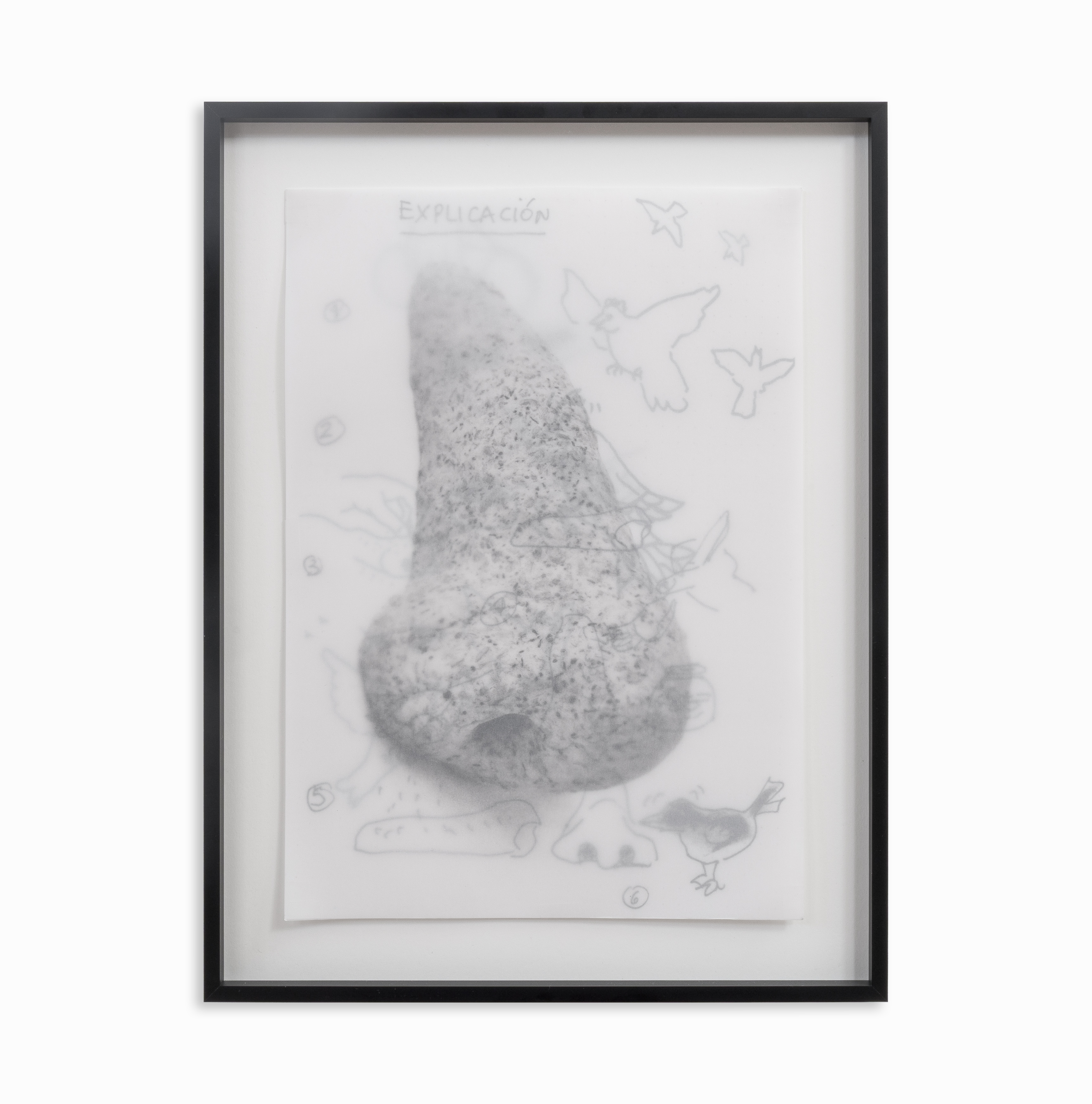 Edition Image #1