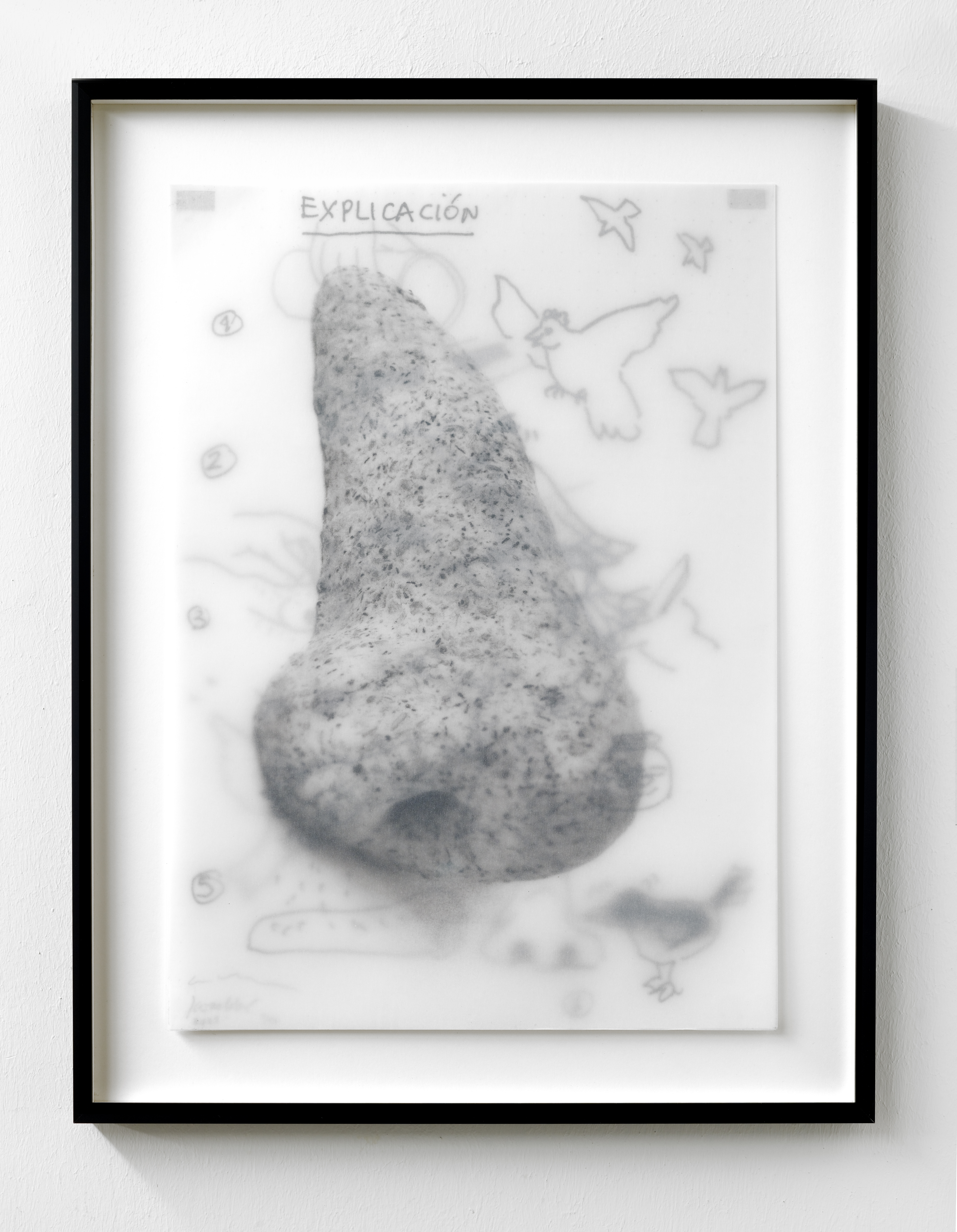 Edition Image #1