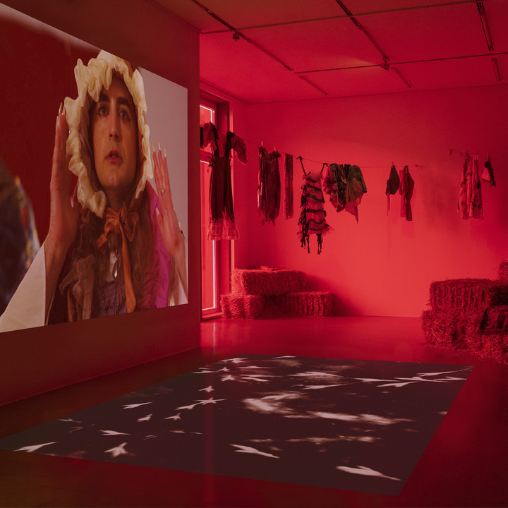 The Institute of Queer Ecology. Hysteria, 2023, Installationsansicht, Foto: Volker Crone